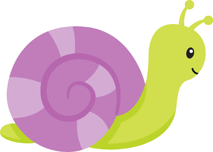 insect clipart snail