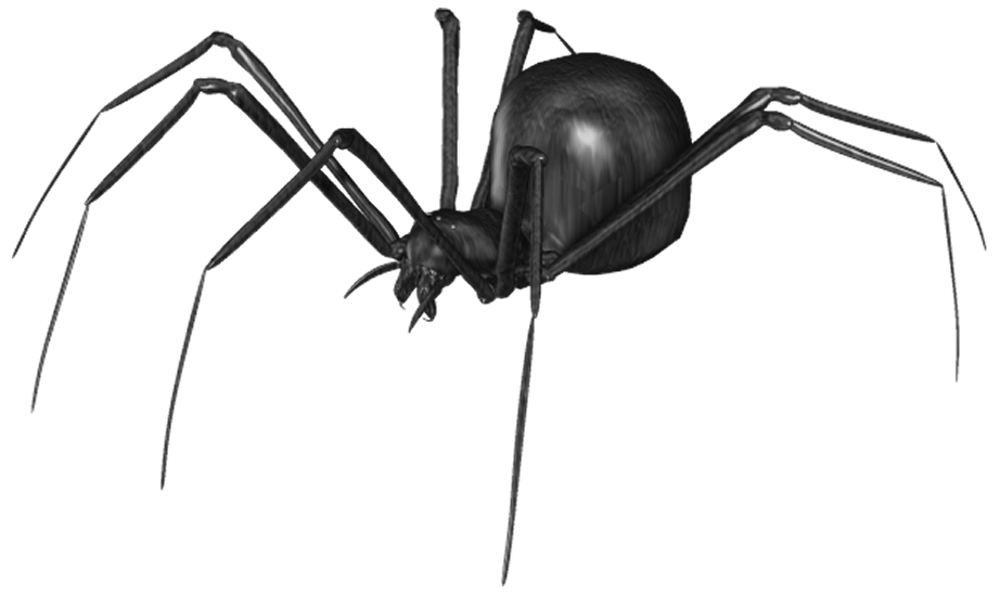 Png clip art best. Insect clipart spider