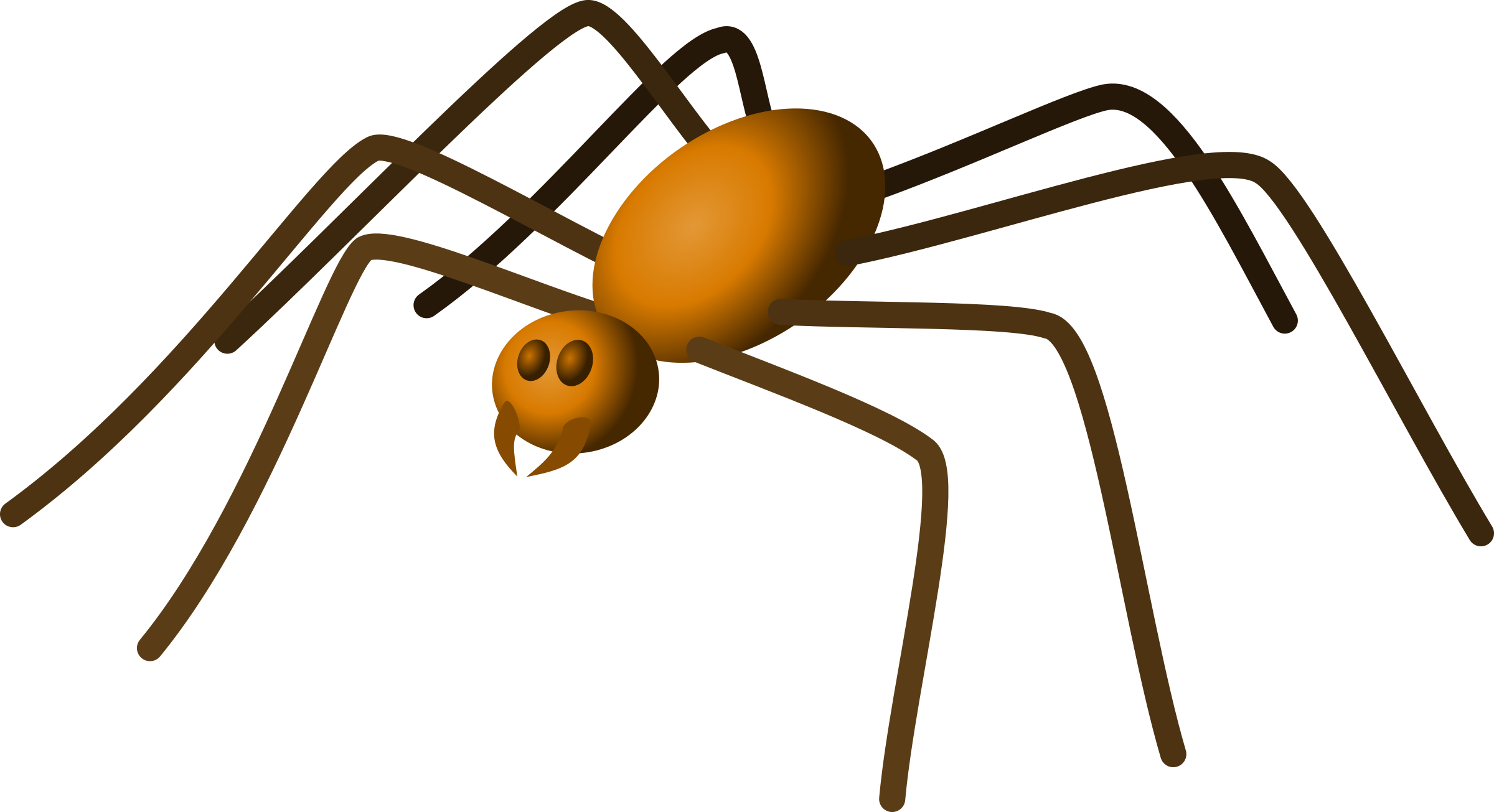 Insect clipart spider. 