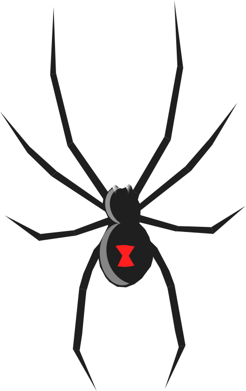 Free to use clip. Insect clipart spider