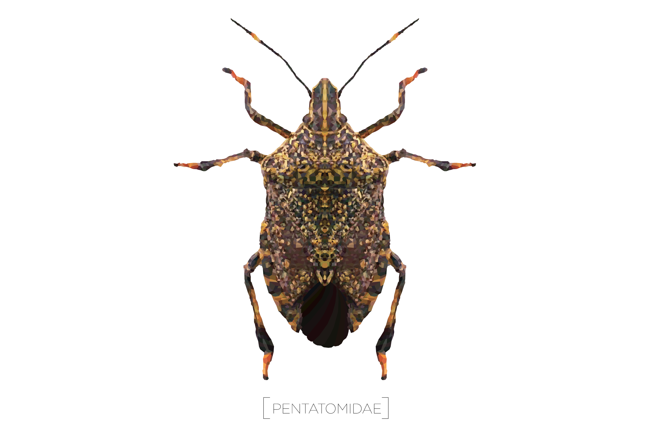 insects clipart stink bug