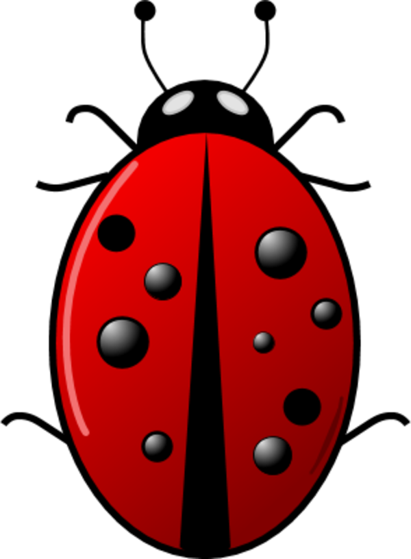 Insect clip art cliparts. Ladybugs clipart egg