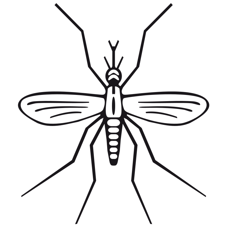 Mosquito clip art clipartbarn. Insect clipart winged insect
