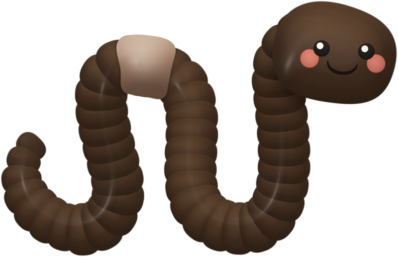 insect clipart worm