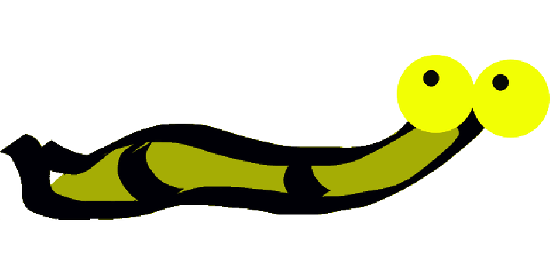 insect clipart worm