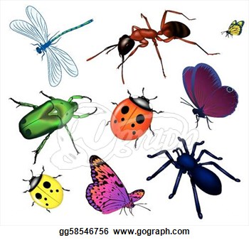 Insect clipart. Panda free images insectclipart