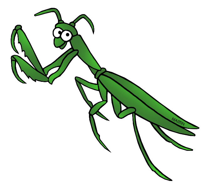 United states clip art. Insects clipart arthropod