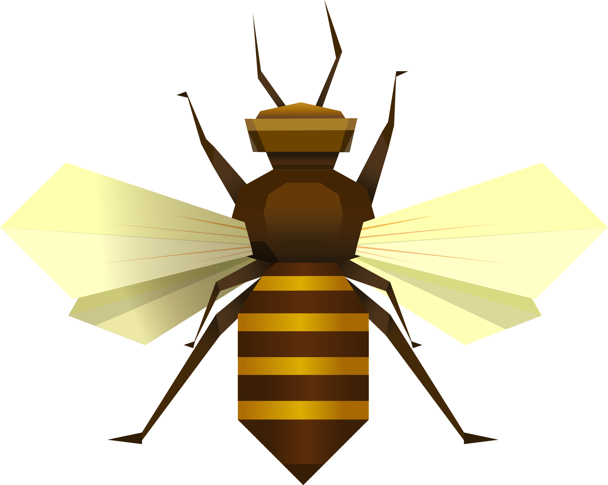 Insects clipart arthropod. Bee insect apis florea