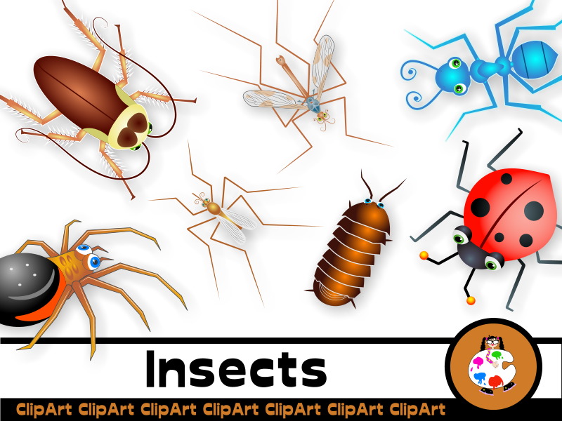 Cartoon insect clip art. Insects clipart arthropod