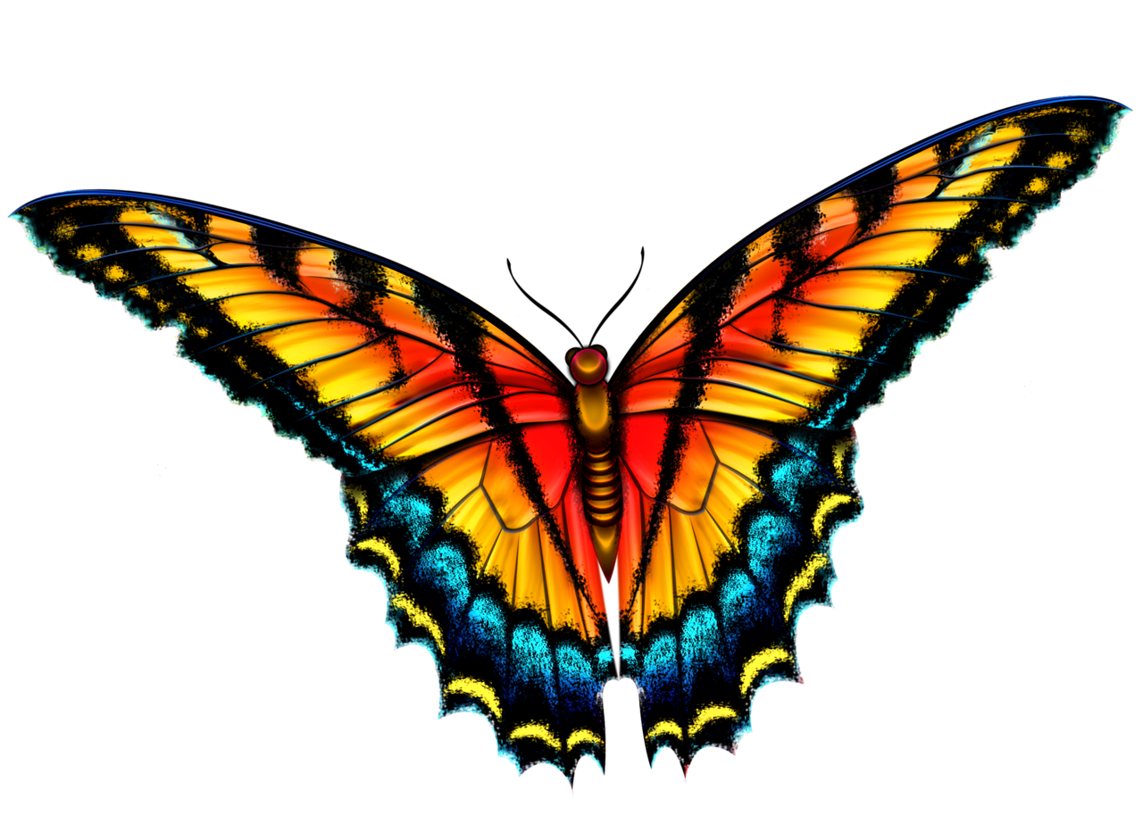 Insects clipart batterfly. Butterfly png free printables