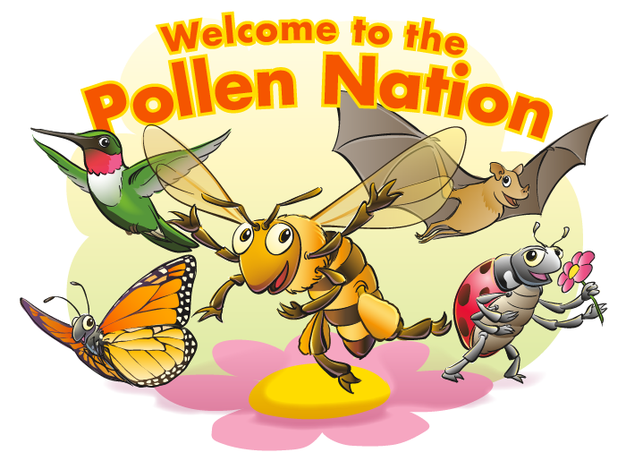 insects clipart beneficial insect