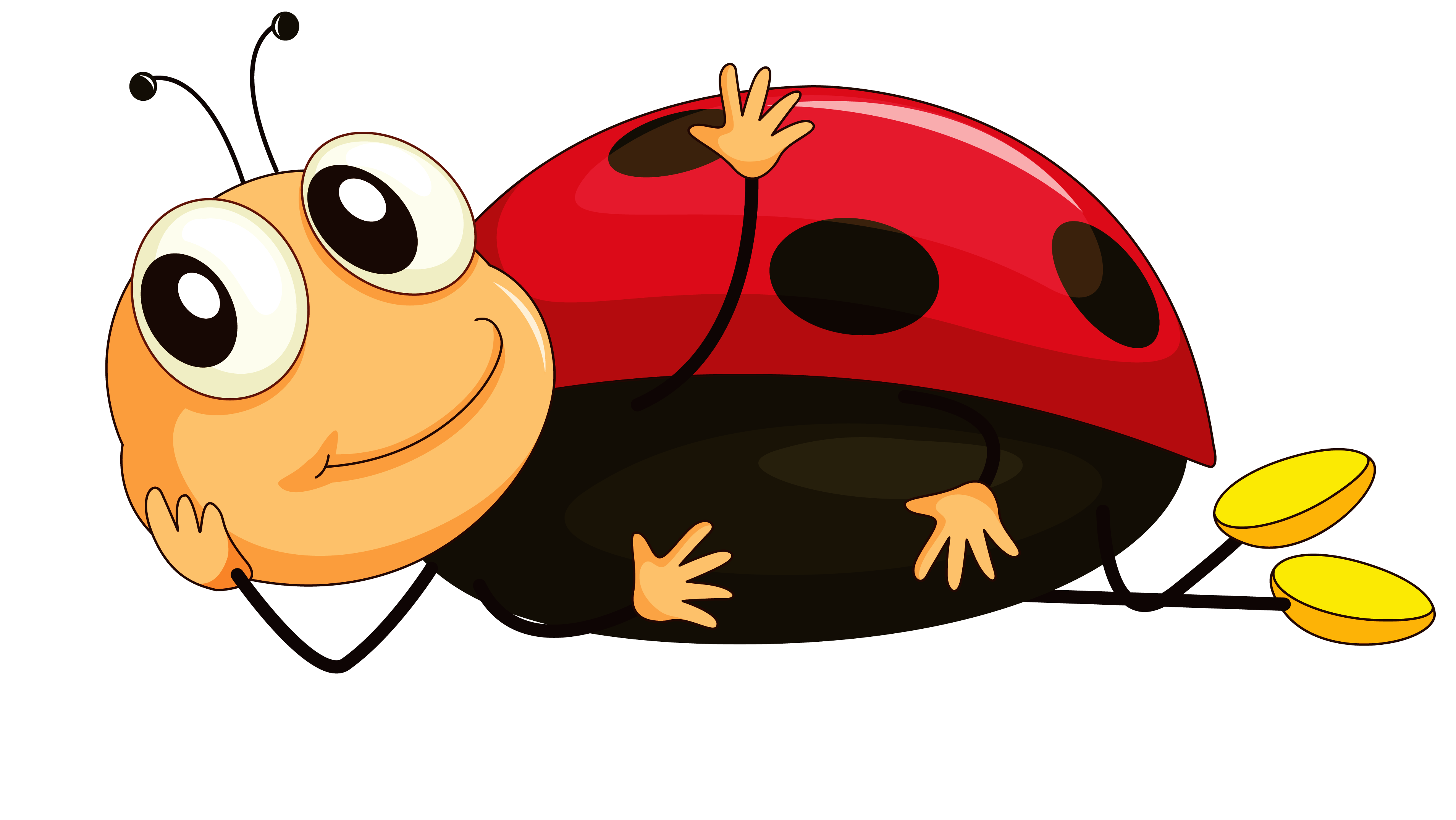 insects clipart bettle