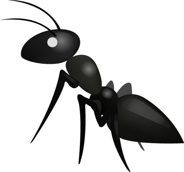 insects clipart carpenter ant