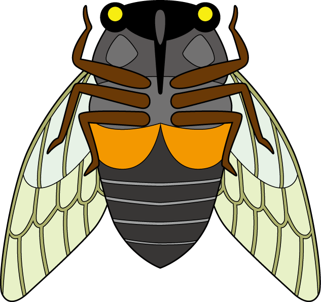 insects clipart cicada