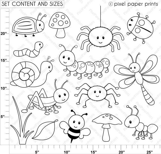 insects clipart colouring
