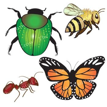 insects clipart comic