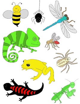 insects clipart creepy bug