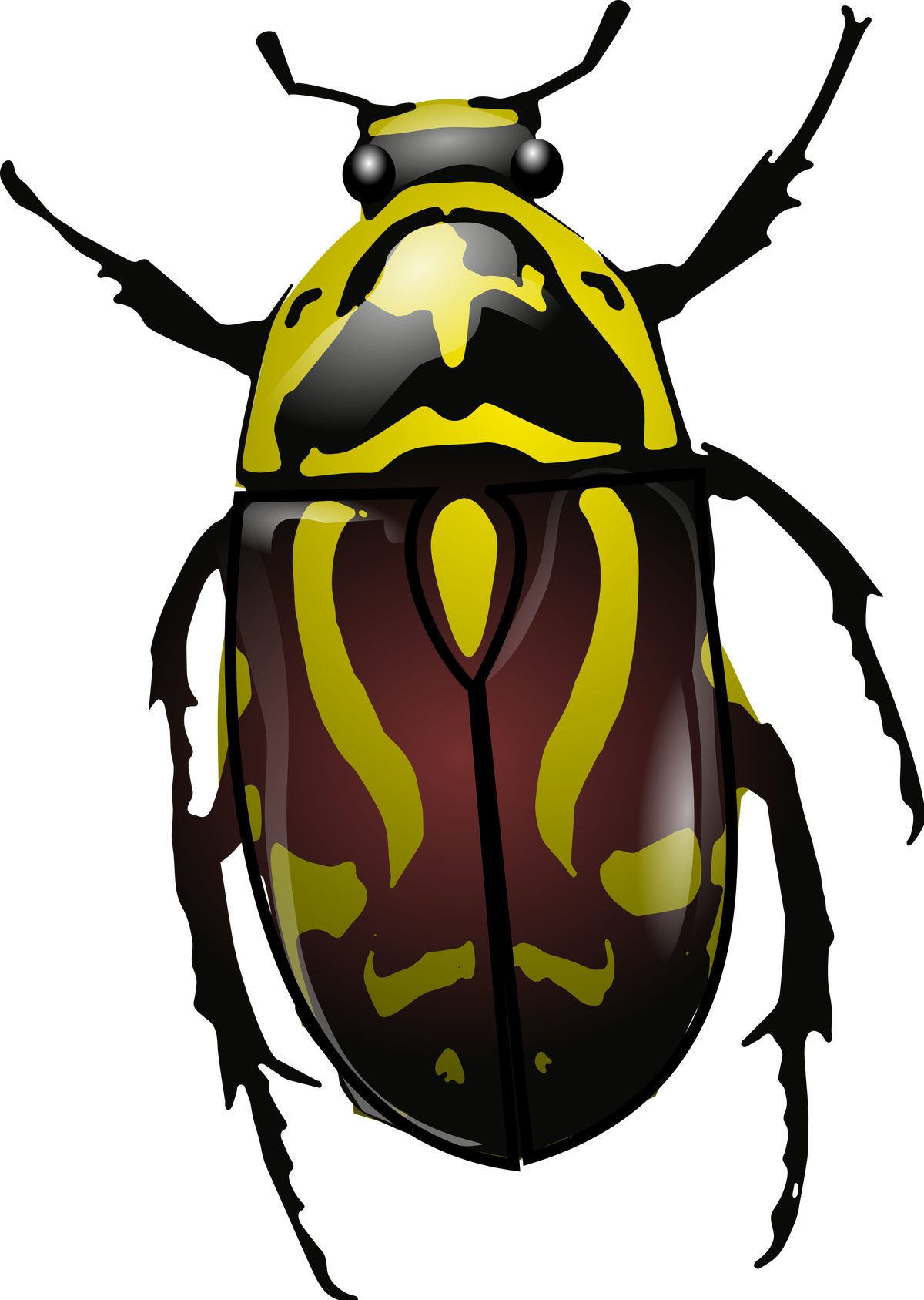 Insects clipart evil, Insects evil Transparent FREE for download on ...