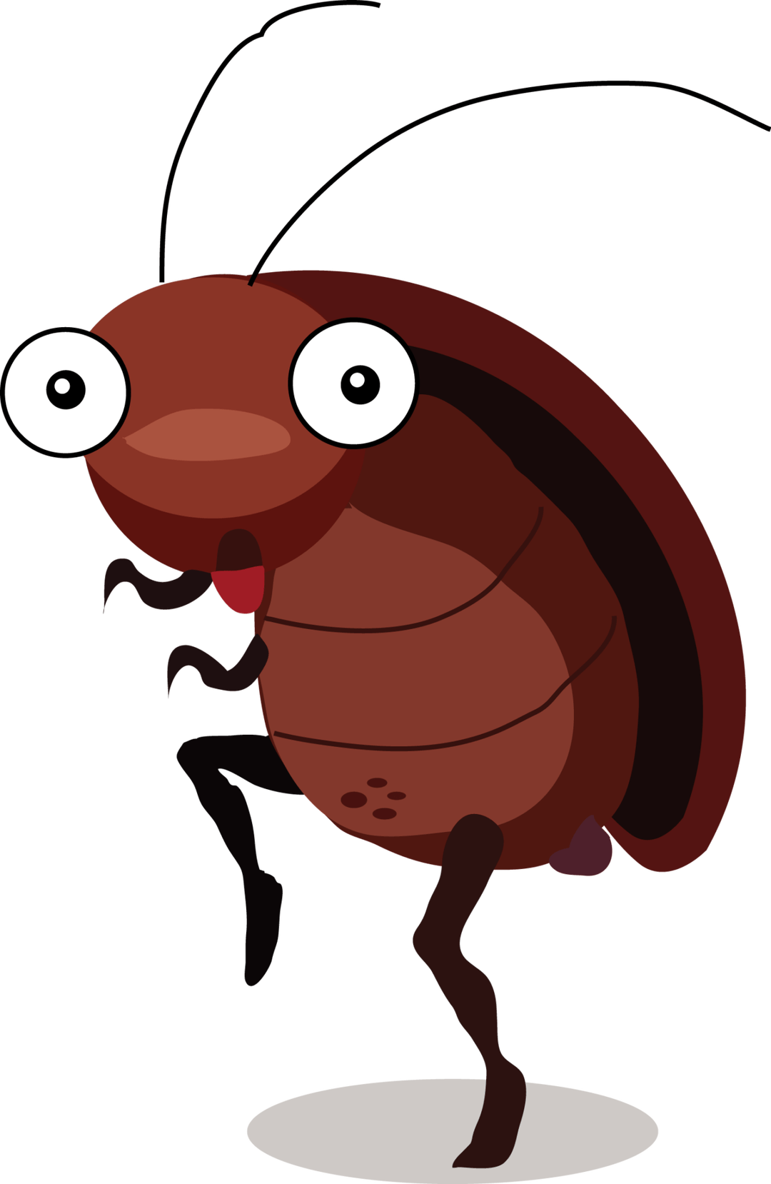insect clipart garden creature