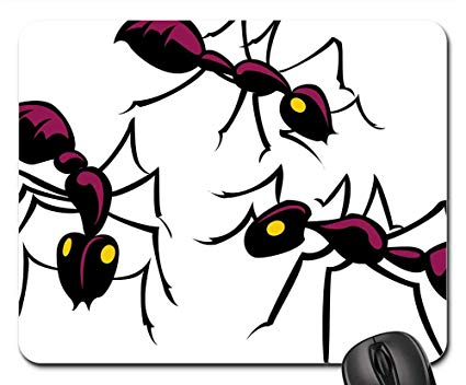 insects clipart group insect