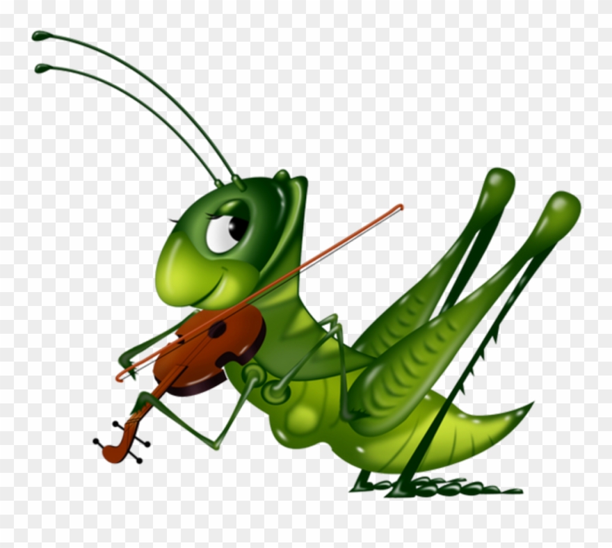 Garden playing violin . Insects clipart insect grasshopper