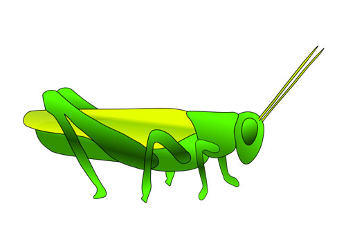 Insects clipart insect grasshopper. Cute vector clip art