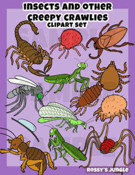 insects clipart jungle