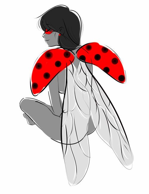 insects clipart ladybug wing