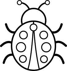 insects clipart outline