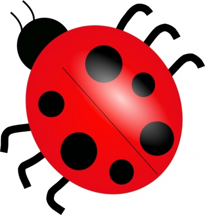 Animals red drawing lady. Legs clipart cartoon bug