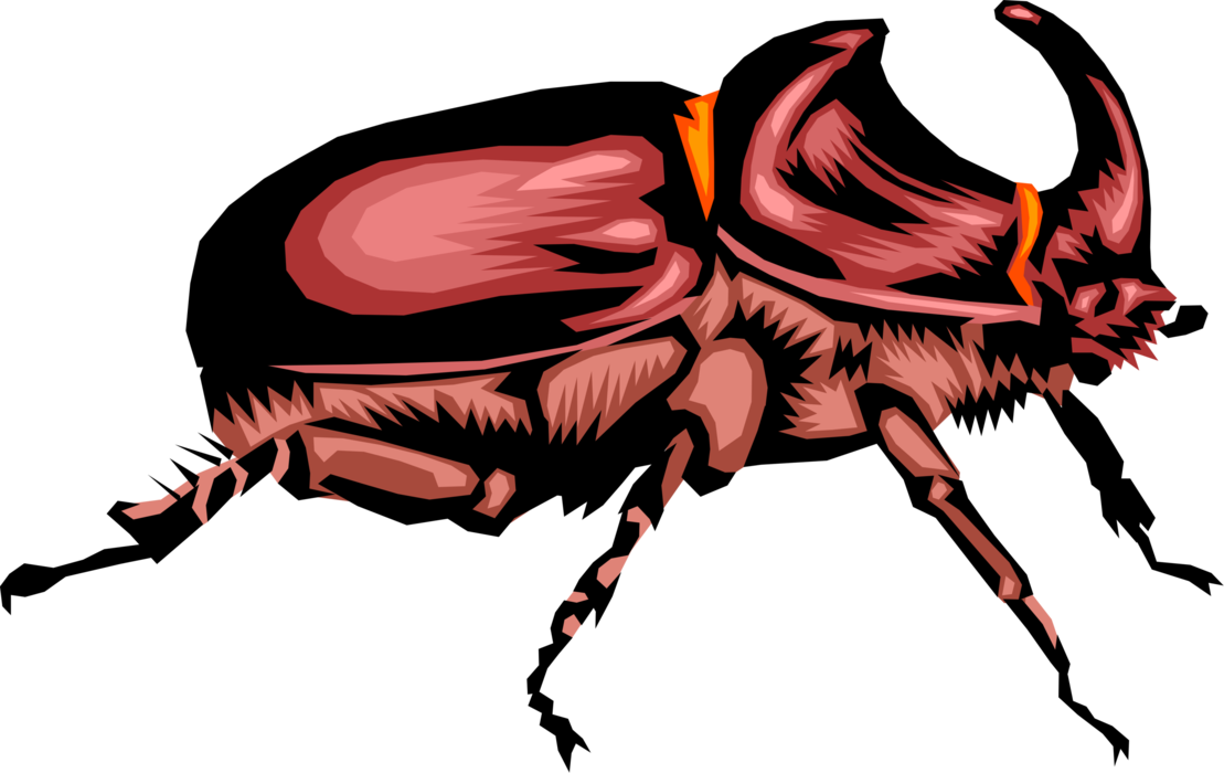 Insects clipart scarab beetle. Rhinoceros insect vector image