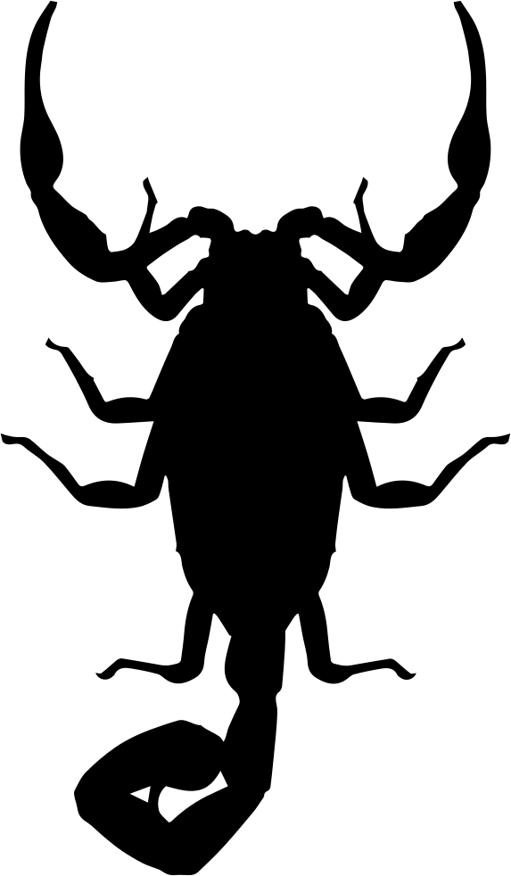 insects clipart scorpion