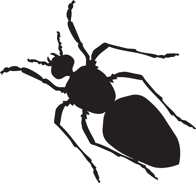insects clipart silhouette