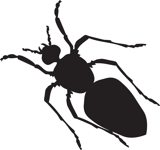 Insects clipart silhouette. Free pictures shape images