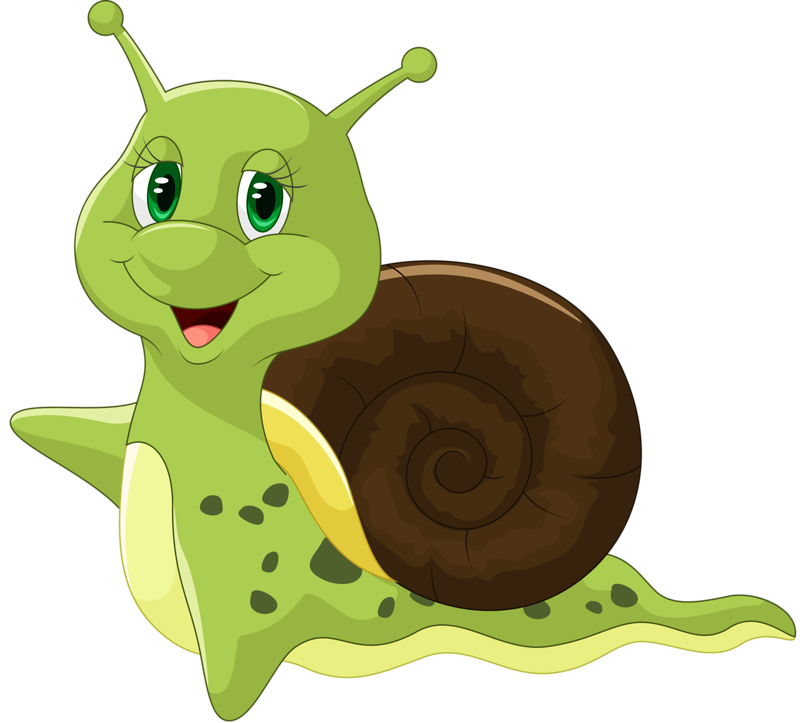 insects clipart snail