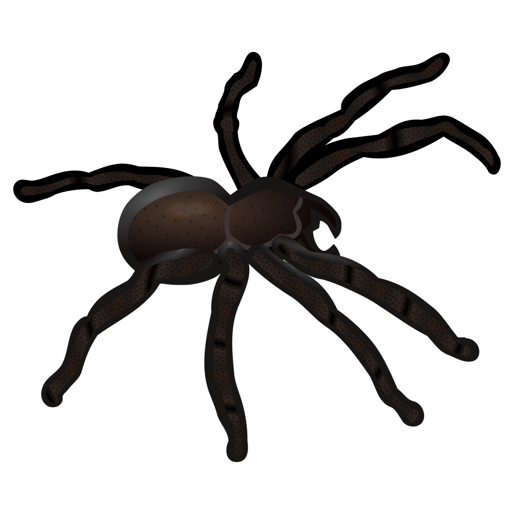 Insects clipart spider. Onlinelabels clip art coloured