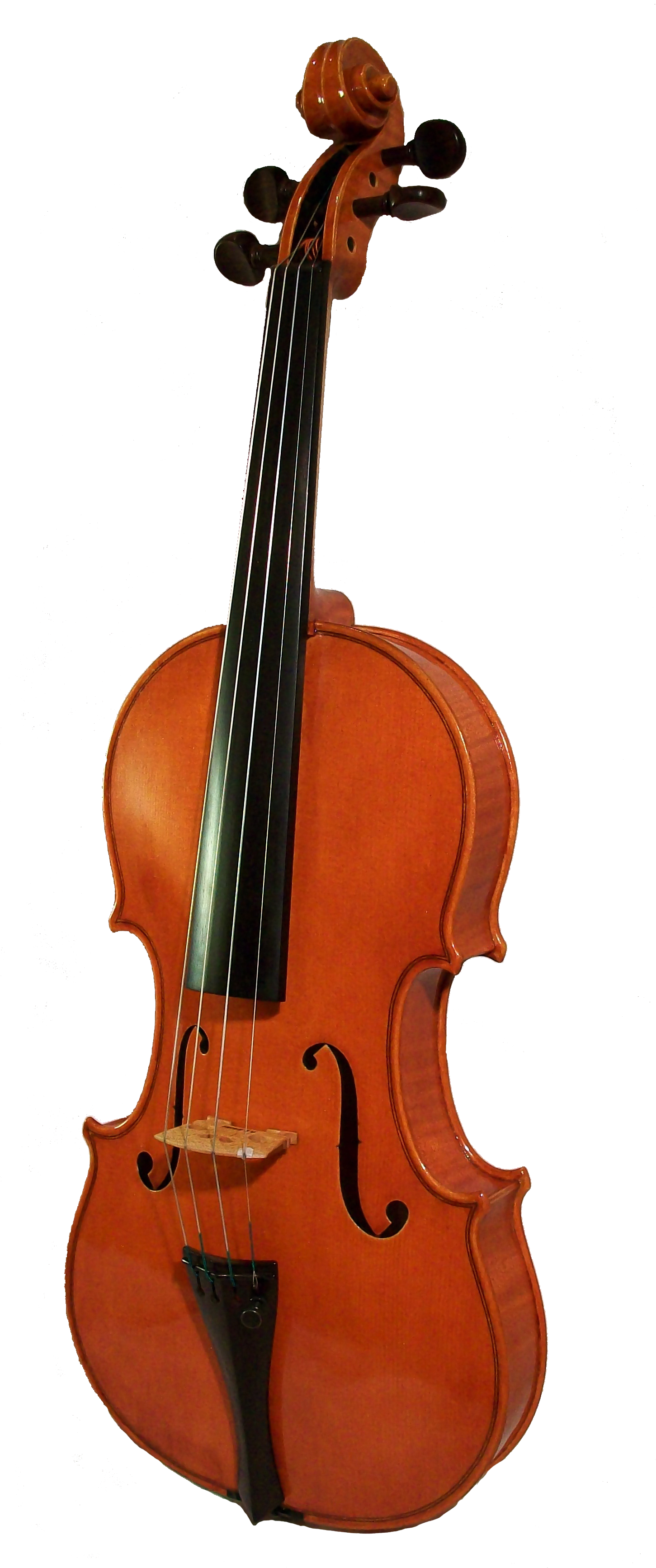 instruments clipart string instrument
