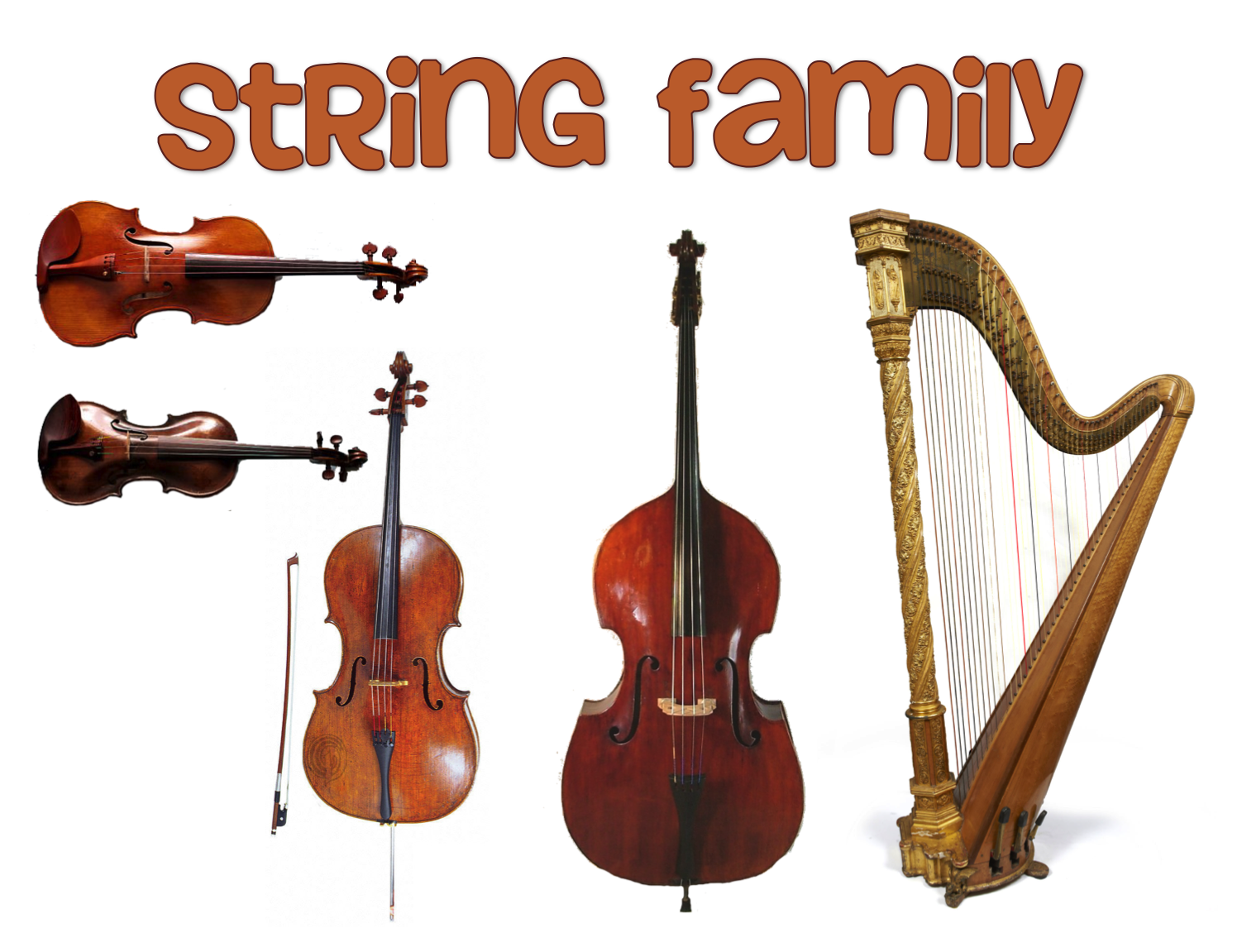 orchestra clipart string family