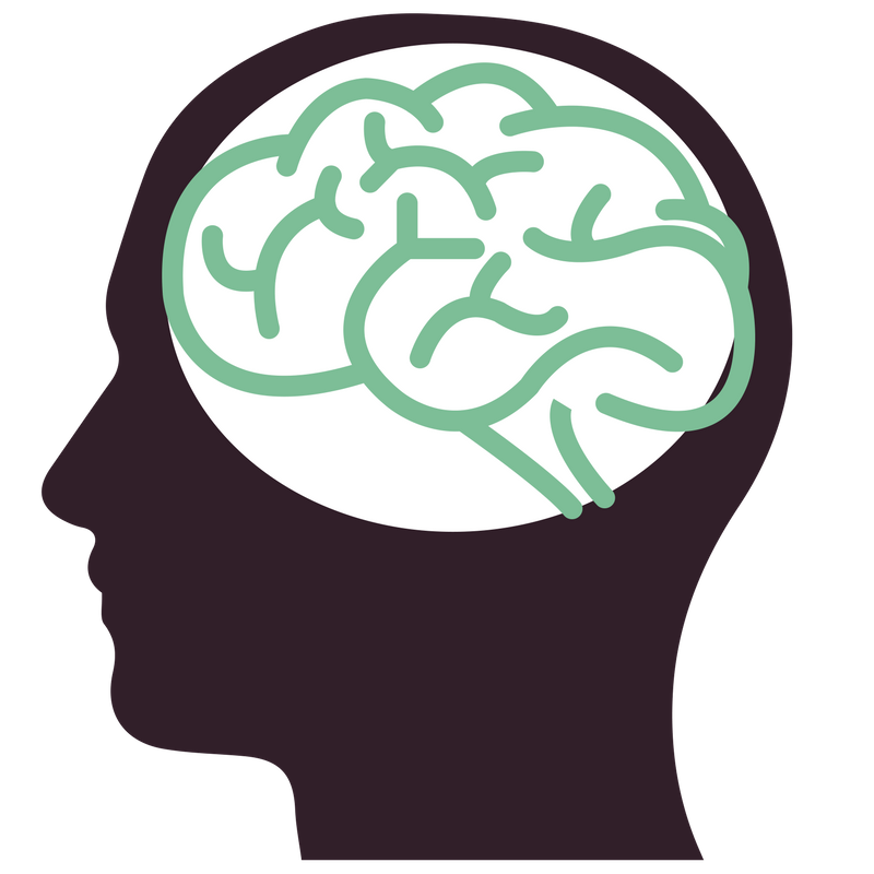 intelligent clipart brain growth