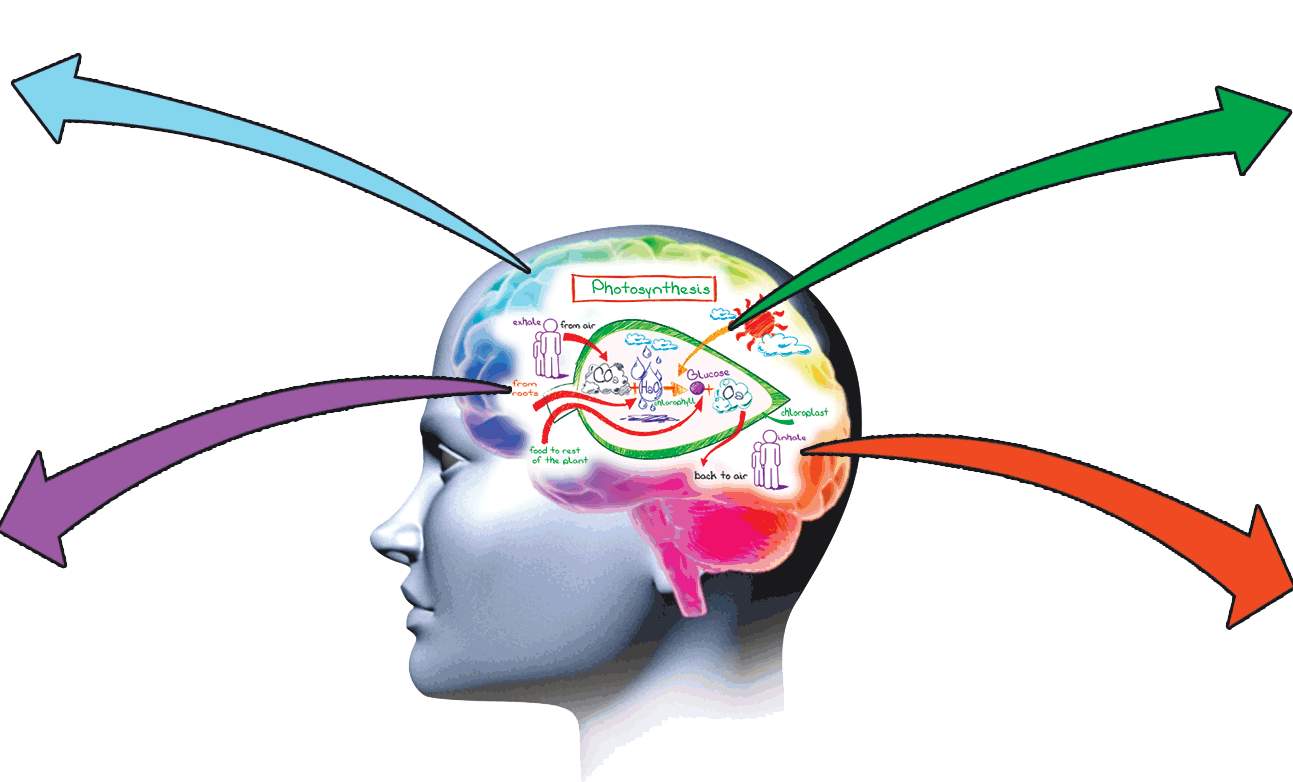 intelligent clipart brain memory