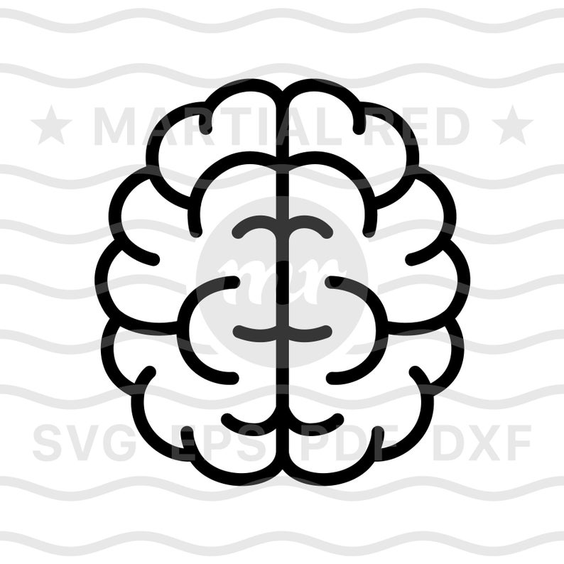 Intelligent clipart brainy. Brain svg mind smart