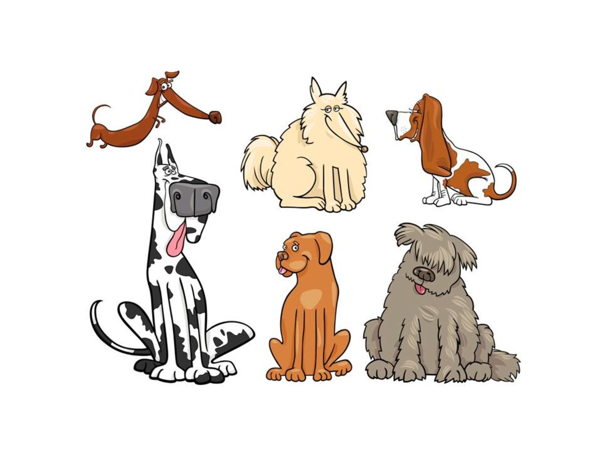 Canine intelligence breed does. Intelligent clipart low grade