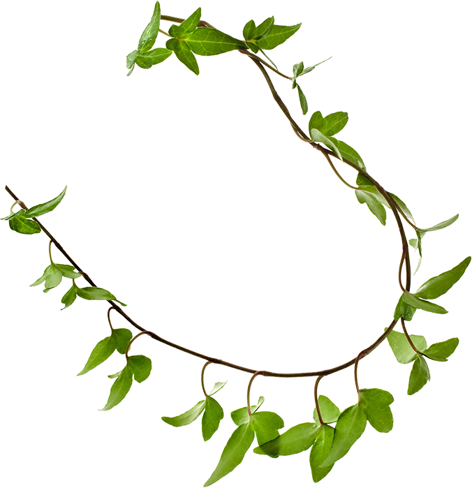 Bmce bank . Ivy clipart achievement award