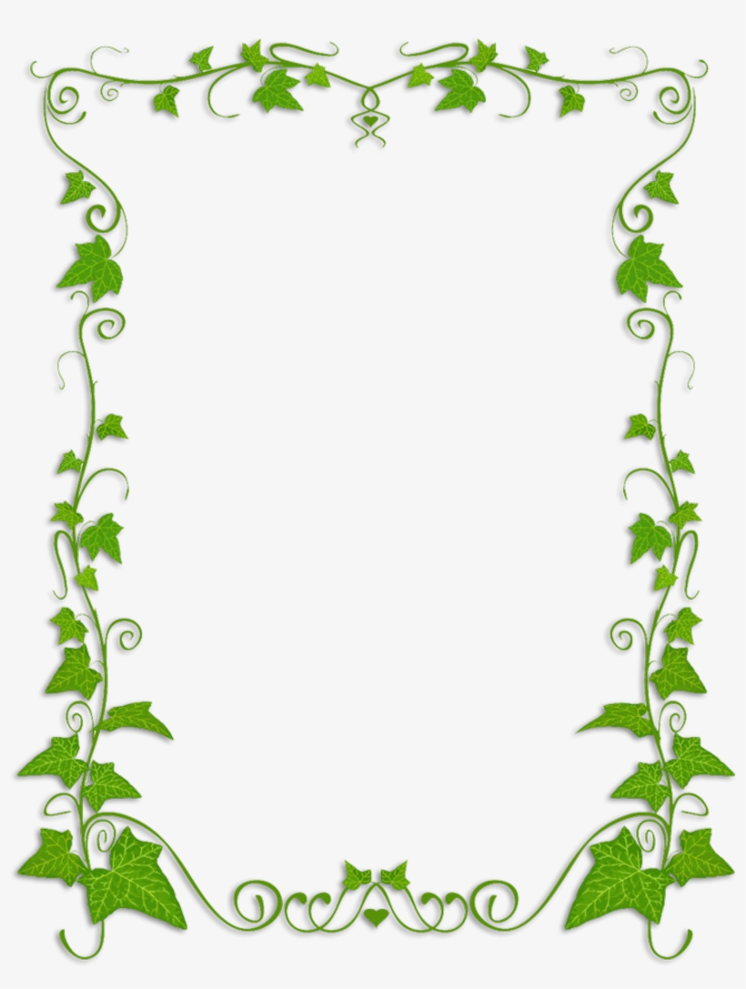Common plant vine clip. Ivy clipart banner
