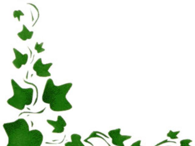 Ivy clipart banner. Free download clip art