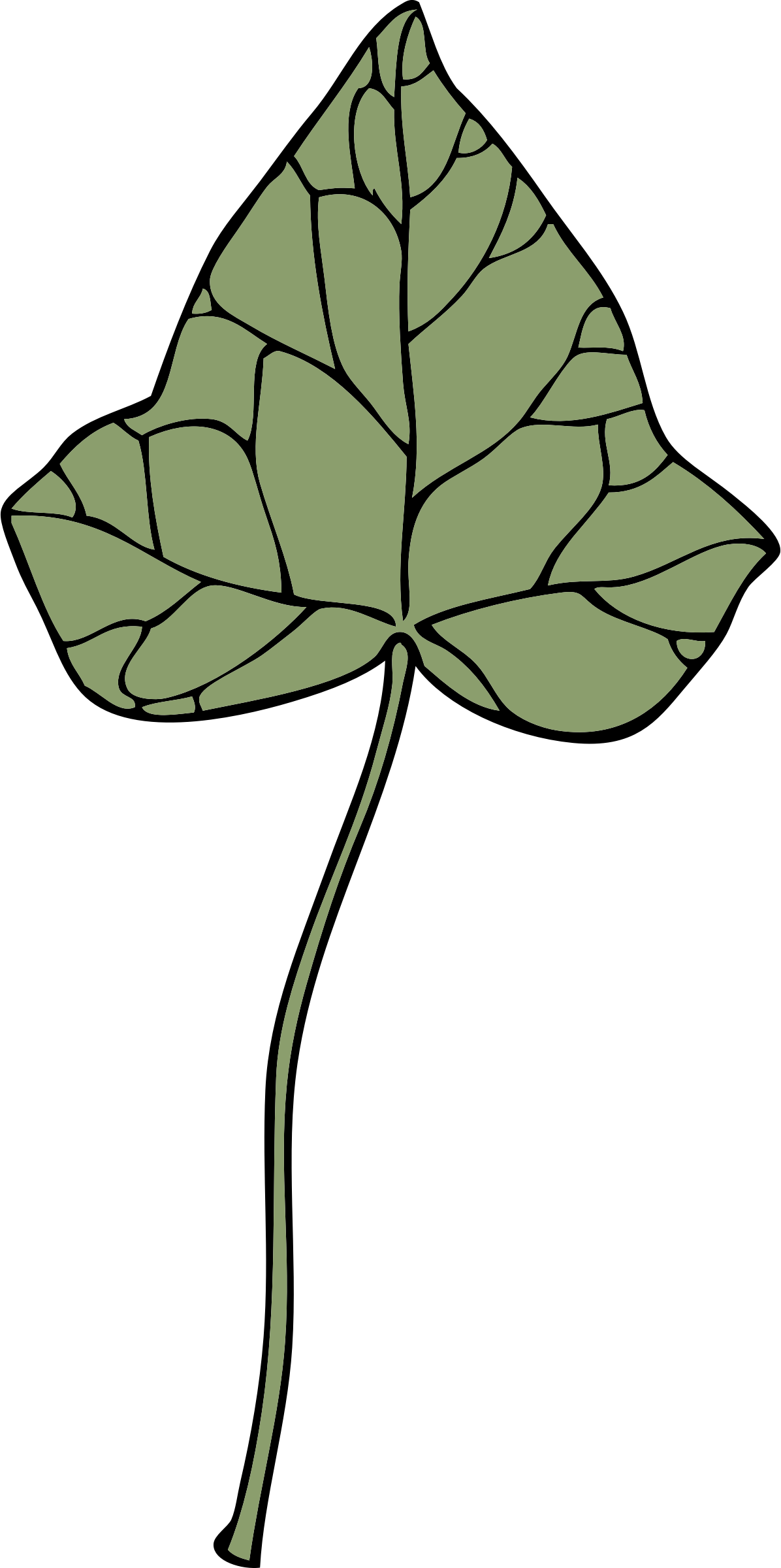 Image png. Ivy clipart big leaf
