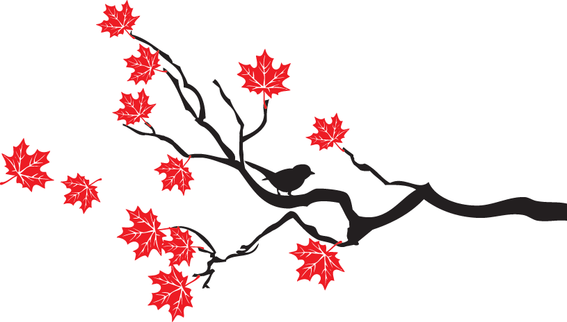 Ivy clipart curved branch. Maple tree with birds