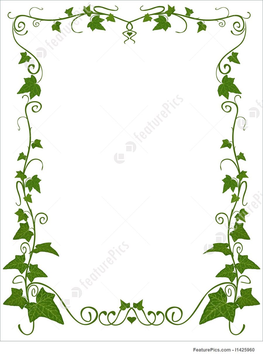 ivy clipart decorative