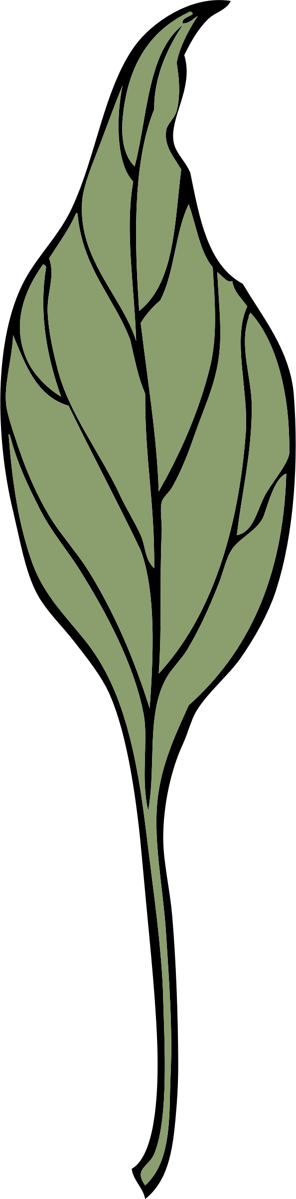 Ivy clipart green stem. 