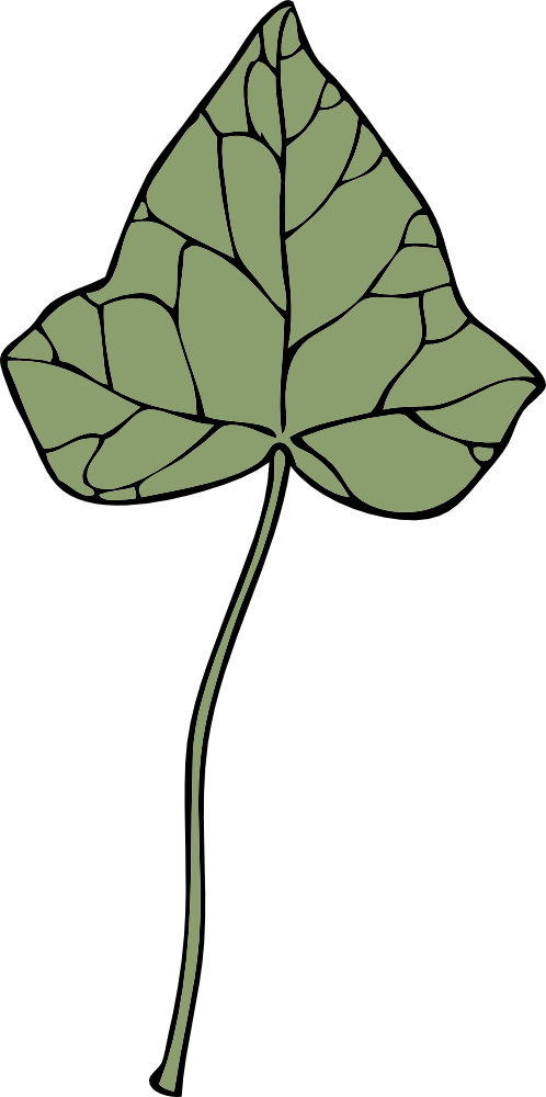 ivy clipart green stem